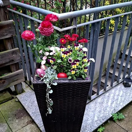 Διαμέρισμα Altstadt Ερφούρτη